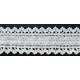 ZY-H1232 (22MM) Elastic Cotton Lace